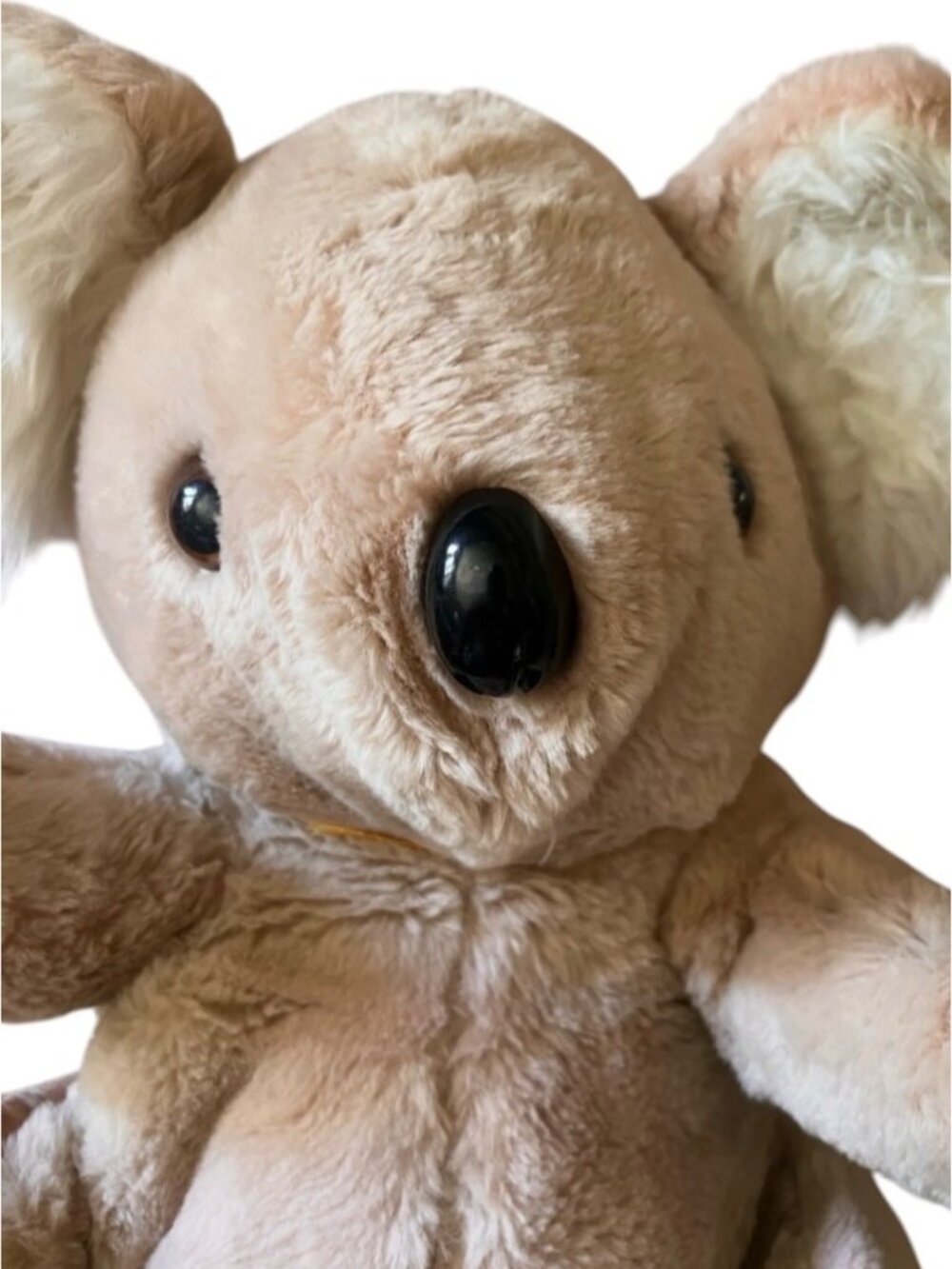 Daekor Koala Plush The Pot Bellies 1977 W/ Original Tag Beige & Cream 15" Korea - Picture 8 of 10